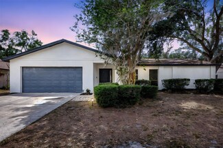 623 Sandy Creek Dr, Brandon, FL 33511