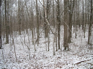 Lot #96 Woods Ave, Birchwood, WI 54817