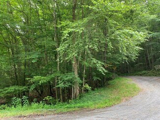 Rt 23/4 Old Laurel Creek Rd, Union, WV 24983
