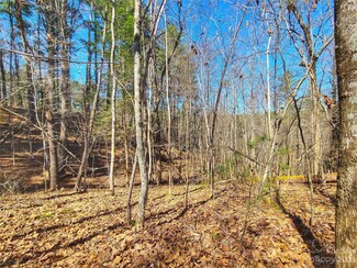 103 Don Anderson Dr, Mars Hill, NC 28754