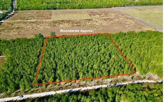 217 SE Homestead Way, Madison, FL 32340