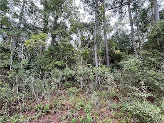 121 Doewood Trail, Satsuma, FL 32189
