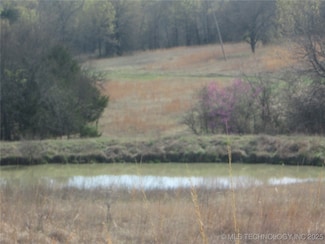 0 County Road 3615 Unit 2516485, Francis, OK 74844