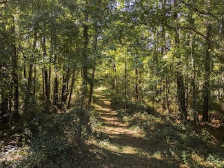 0 N State Road 121, Alachua, FL 32615