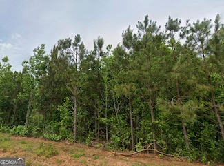 185 Old 4 Notch Rd, Whitesburg, GA 30185