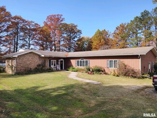 20366 Noisy Goose Ln, Olive Branch, IL 62969