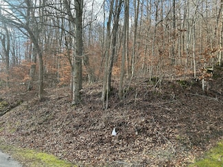 TBD N Fork Rd, Patsey, KY 40380