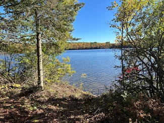 5 acres Retriever Ln, Phelps, WI 54554