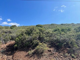 0 Old Highway 80 Unit NDP2303861, Guatay, CA 91931