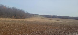 60 Orbit Rd, Anabel, MO 63431
