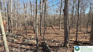 282 Saunders Ct, Lehman Township, PA 18324