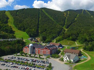102 Forest 122 III Dr Unit 122 / III Clay Brook, Warren, VT 05674