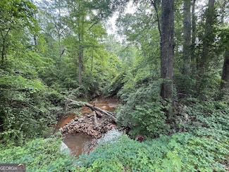 0 Zellner Rd Unit LOT 19 10524279, Forsyth, GA 31029