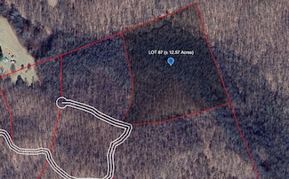 290 Eagle's Nest Ridge, Bragg, WV 25918