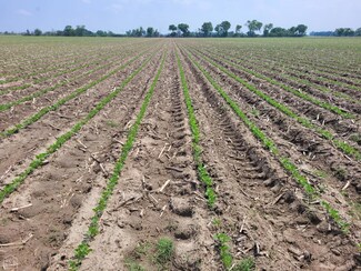 40 Acres Cr 236, Trumann, AR 72472