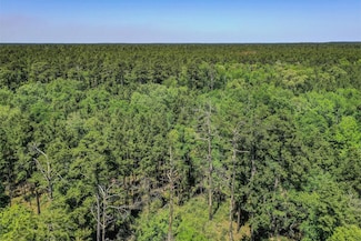 00 County Road 4200, Pennington, TX 75856