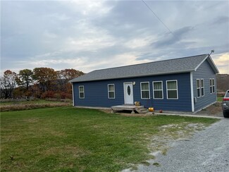 519 Vanbuskirk Gulf Rd, Newfield, NY 14867