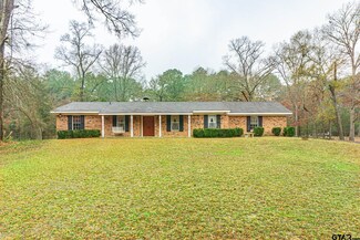 3222 Us Highway 259 S, Diana, TX 75640