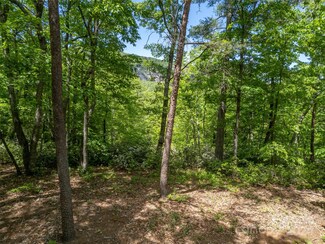 10 Garden Ln, Lake Lure, NC 28746