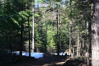 42198 Shore Acres Rd, Loon Lake, WA 99148
