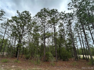 0 Mellon Rd Unit 844626, Weeki Wachee, FL 34614