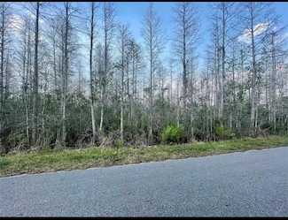 0 Luna Dr Unit MFRO6266784, Saint Cloud, FL 34773