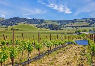 2590 Chileno Valley Rd, Petaluma, CA 94952