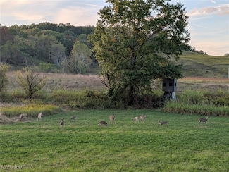 0 Pigeon Gap Rd, Cambridge, OH 43725