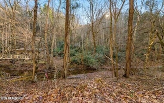 Lot 0018 Cool Creek Rd, Sevierville, TN 37862