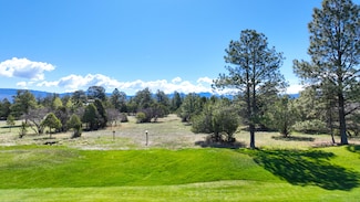 Lot 212 Marmot Dr, Loghill Village, CO 81432