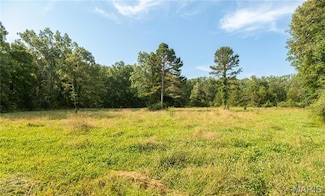 123 County Road 0-3a, Grandin, MO 63943