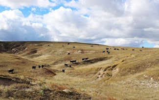 County Road 79, Hemingford, NE 69348
