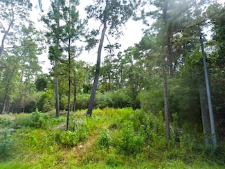 3214 Upper Lake Dr, Humble, TX 77338