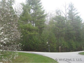 19 Cedar Trail Unit 19, Biltmore Forest, NC 28803