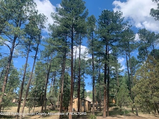 107 Mary Dr, Ruidoso, NM 88345