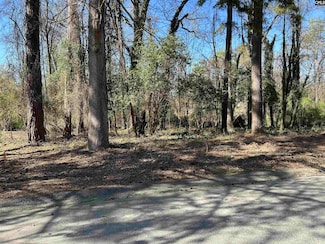 305 Bertha Ave, Columbia, SC 29203