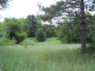 7183 Burr Oak Rd, Custer, WI 54423