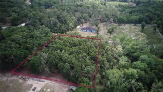 7246 Norman St, Webster, FL 33597