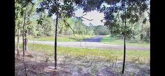 1877 W Pendleton St, Pine Ridge, FL 34434