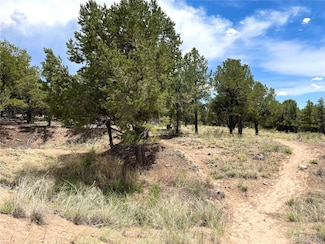 Tract 6 PHILLEO ANNE S Hemlock St, Crestone, CO 81131