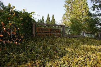 14437 Marysville Rd Unit 1, Camptonville, CA 95922