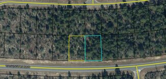 Lots 20&21 Washington Blvd, Chipley, FL 32428