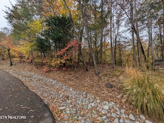 517 Clearwater Cir, Townsend, TN 37882