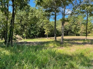 2800 Sparrowhawk Ln, Pocahontas, AR 72455