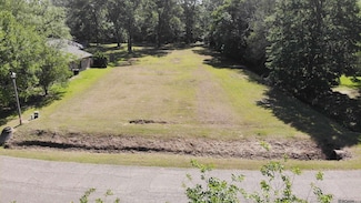 17012 Weyanoke Dr, Central, LA 70791