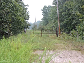 31 Chestnut Trail, Salem, AR 72576