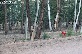 1360 Windflower Ln, Woodland Park, CO 80863