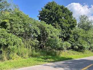 0 Churchill Rd Unit 24039282, Leslie, MI 49251