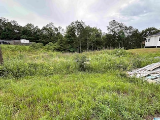 230 Virginia Way Unit 68, Moody, AL 35004