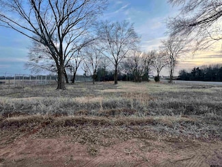 TBD Hwy 37, Winnsboro, TX 75494